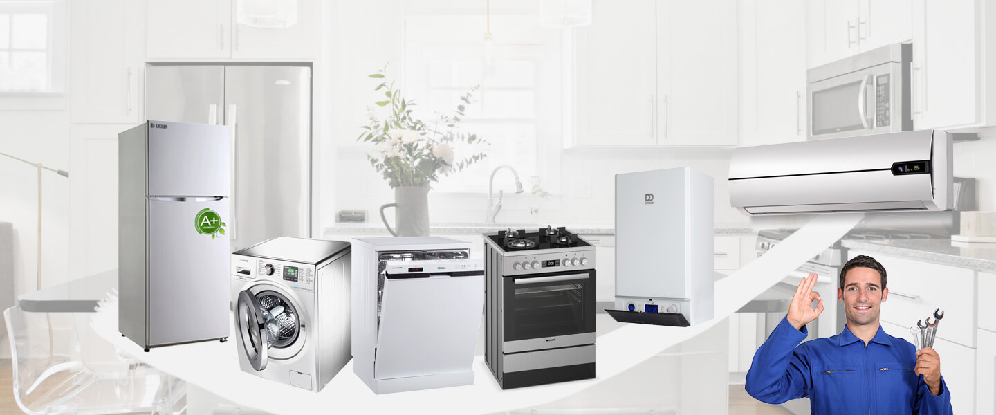 İncirliova Windsor Servisi